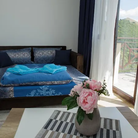 Dvori Sky View E13 - Free Private Parking * 科帕奥尼克