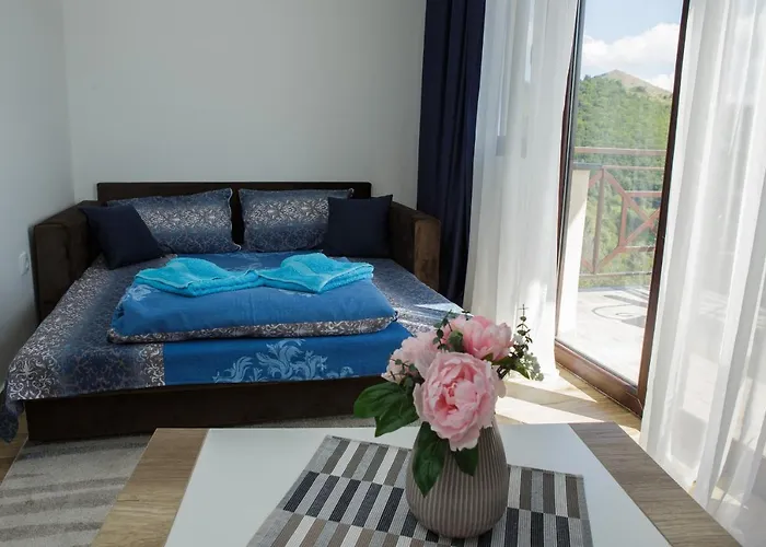 Dvori Sky View E13 - Free Private Parking * 科帕奥尼克