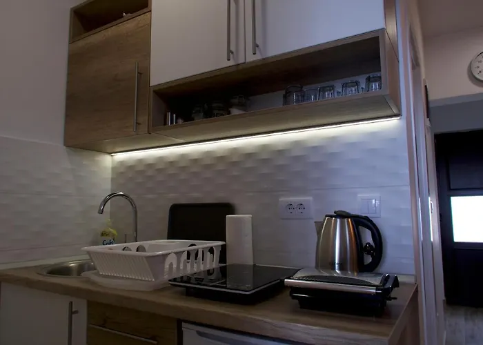 Dvori Sky View E13 - Free Private Parking 科帕奥尼克