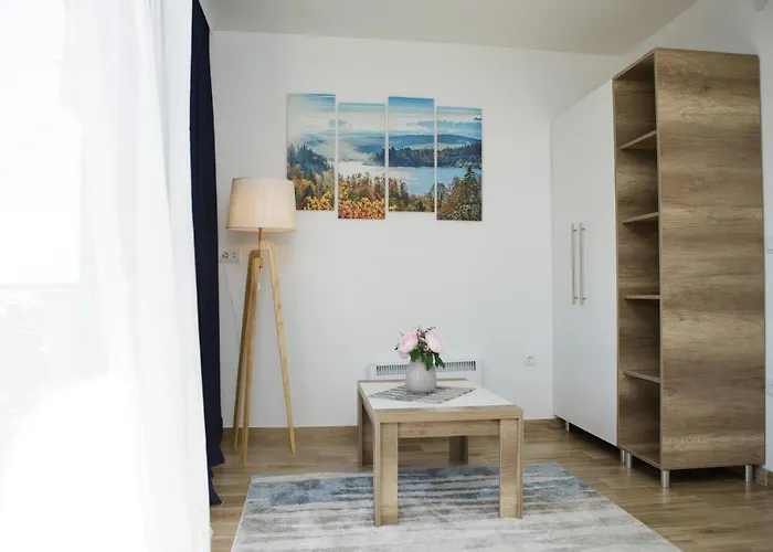 Dvori Sky View E13 - Free Private Parking 公寓 科帕奥尼克